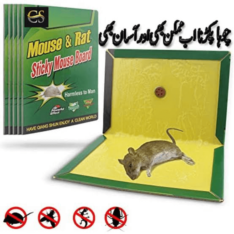 Durable Mouse Trap Pack of 10 - Effective Glue Sticky Traps for Rodents