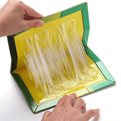 Durable Mouse Trap Pack of 10 - Effective Glue Sticky Traps for Rodents