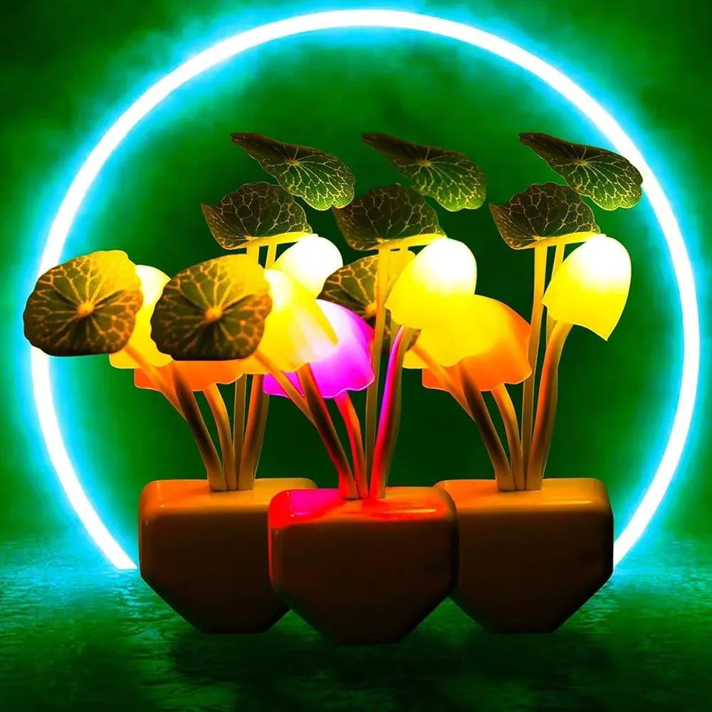 Pack of 3 LED Mushrooms light - Arfa Mart