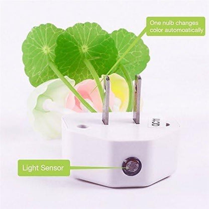 Pack of 3 LED Mushrooms light - Arfa Mart