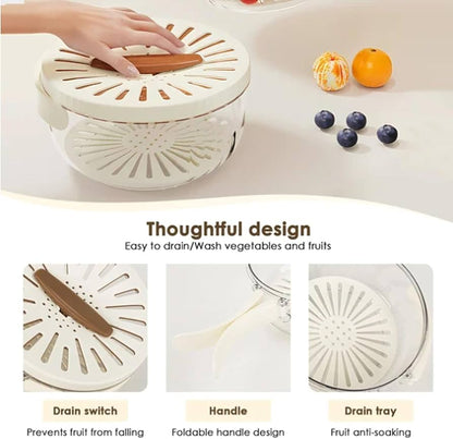 Fruits and Vegetables Washer Bowl